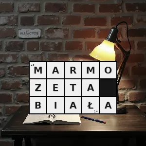 Hasło krzyżówkowe uistiti srebrzysta - marmozeta biała – rozwiązanie, synonimy, podpowiedzi i definicje krzyżówkowe